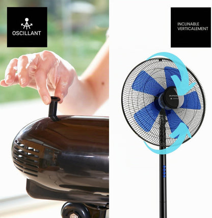  Taurus Boreal 16C Elegance - Ventilateur Sur Pied 40W, Hauteur Jusqu'à 130cm, 5 Lames, Diamètre 40cm, 3 Vitesses, Système D'oscillation Et D'inclinaison, Poignée De Transport, Base Ronde, Silencieux