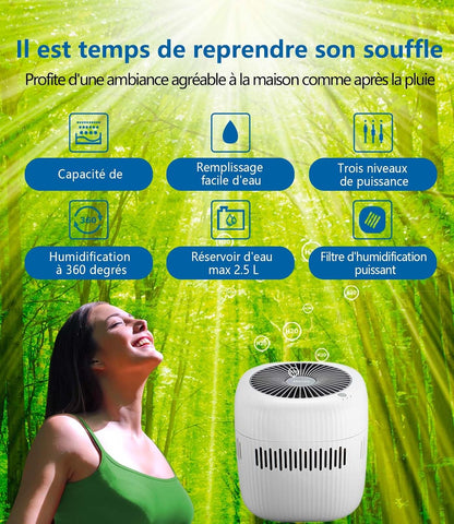  Mini Humidificateur 2,5 Litres, Humidificateur D'air Pour Chambre à Coucher, Bureau, Hôtel, Chambre à Coucher, USB, Sans Brouillard, Petite Chambre D'enfant, Batterie De Bébé